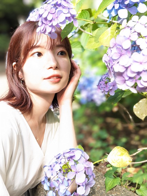 上野公園の紫陽花