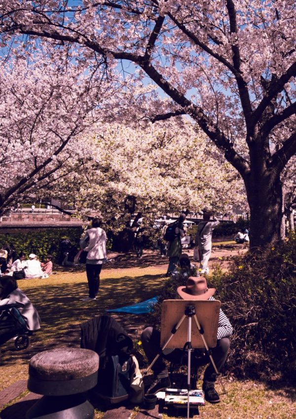 みなとみらいー桜爛漫