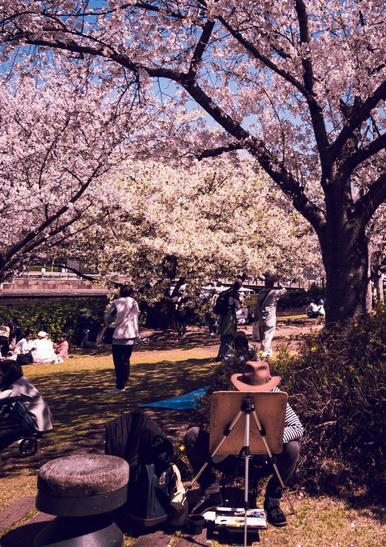 みなとみらいー桜爛漫